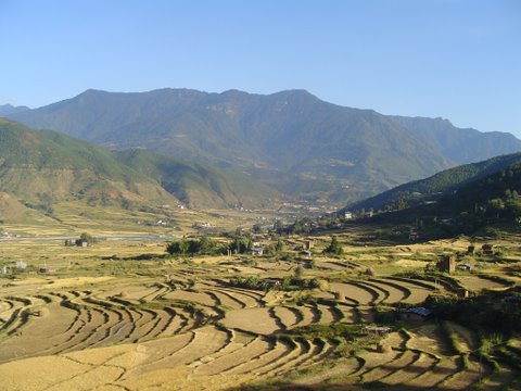 Valley Near Wangduephodrang